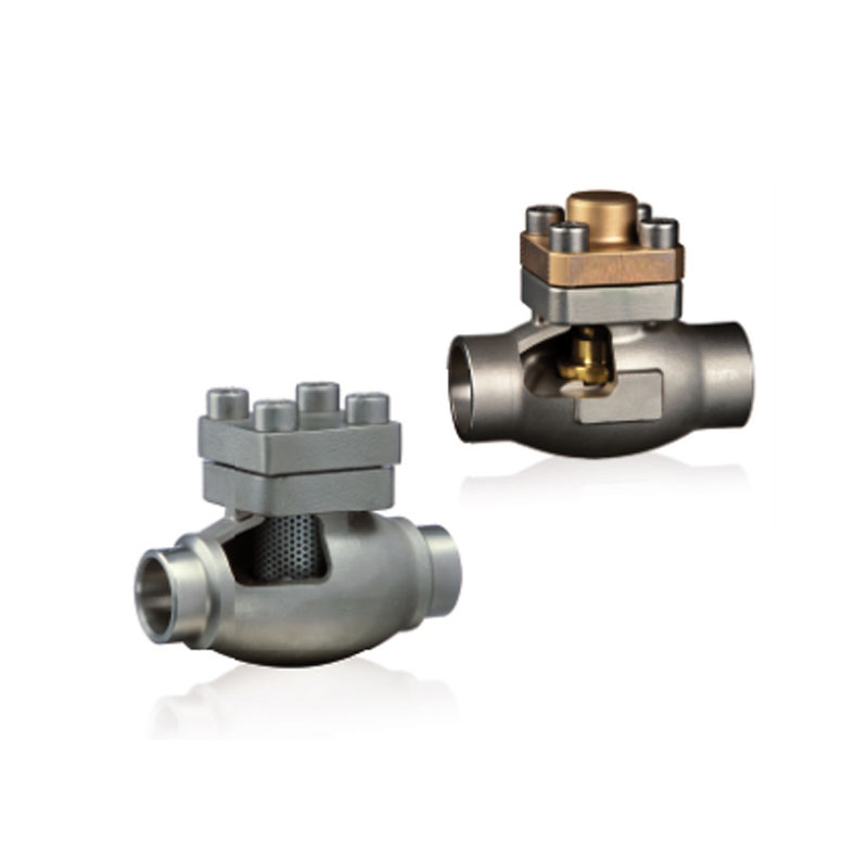 Stainless Steel Cryogenic Check Valves