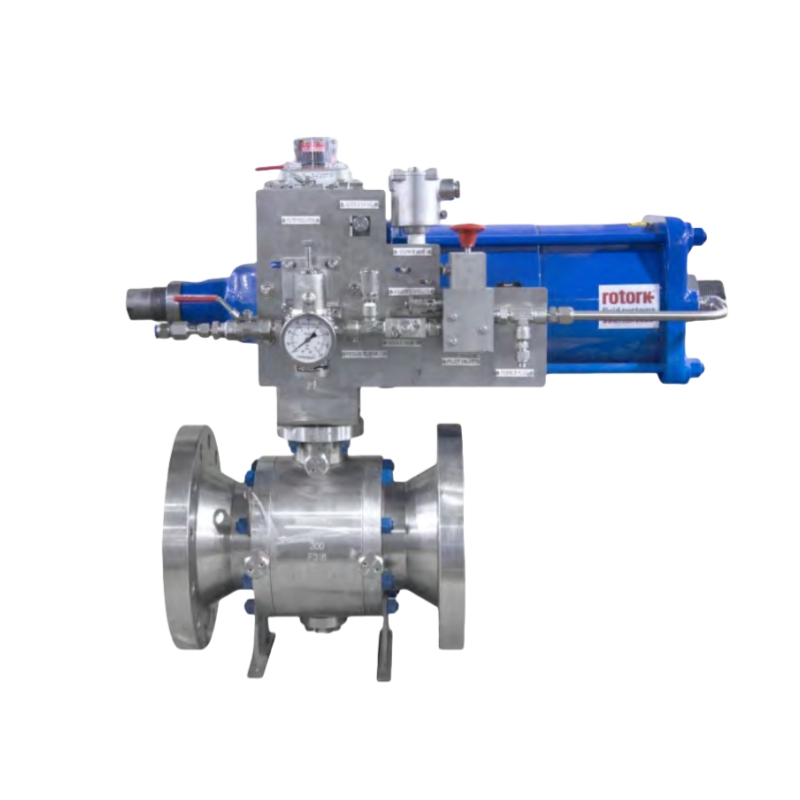 DBB Valve with Rotork Actuator